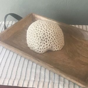 Decorative Coral Polyresin Figurine
